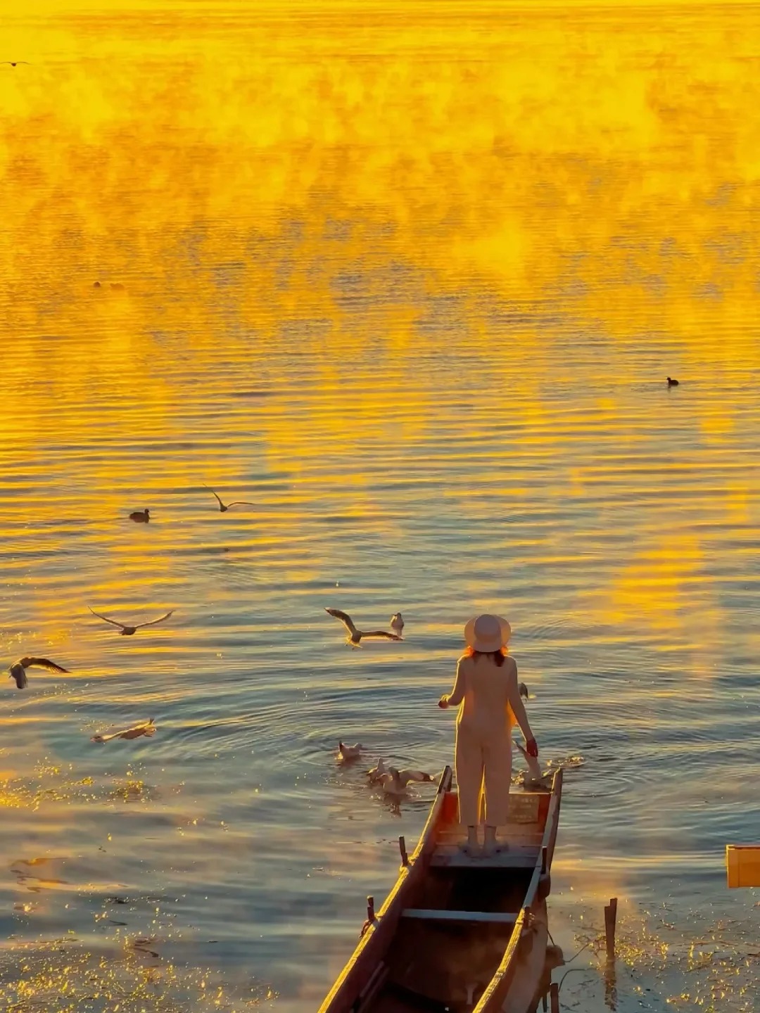 云南旅游,云南旅行社,云南團建公司,云南策劃公司,云南會議會展,云南旅游地接,麗江旅游,麗江旅行社,麗江團建公司,麗江策劃公司,麗江會議會展,麗江策劃執行：大實話！秋天的瀘沽湖才是人間理想…